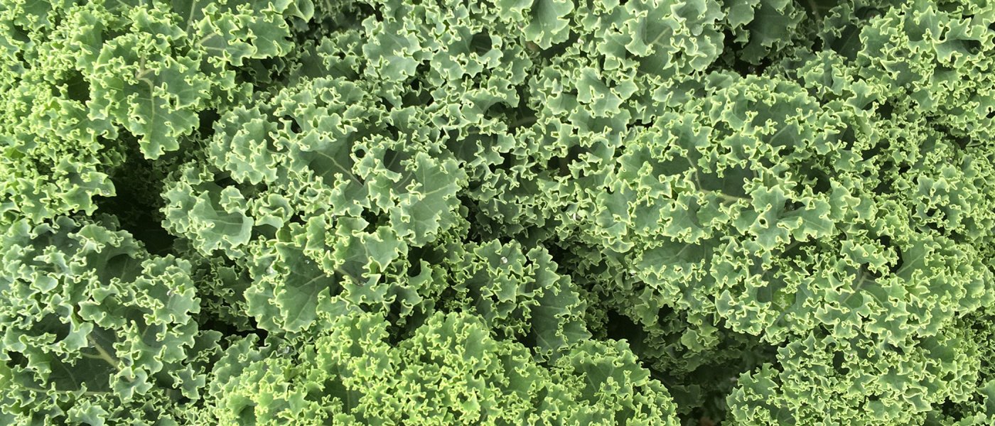 UWID | Biodiversität über den Tellerrand