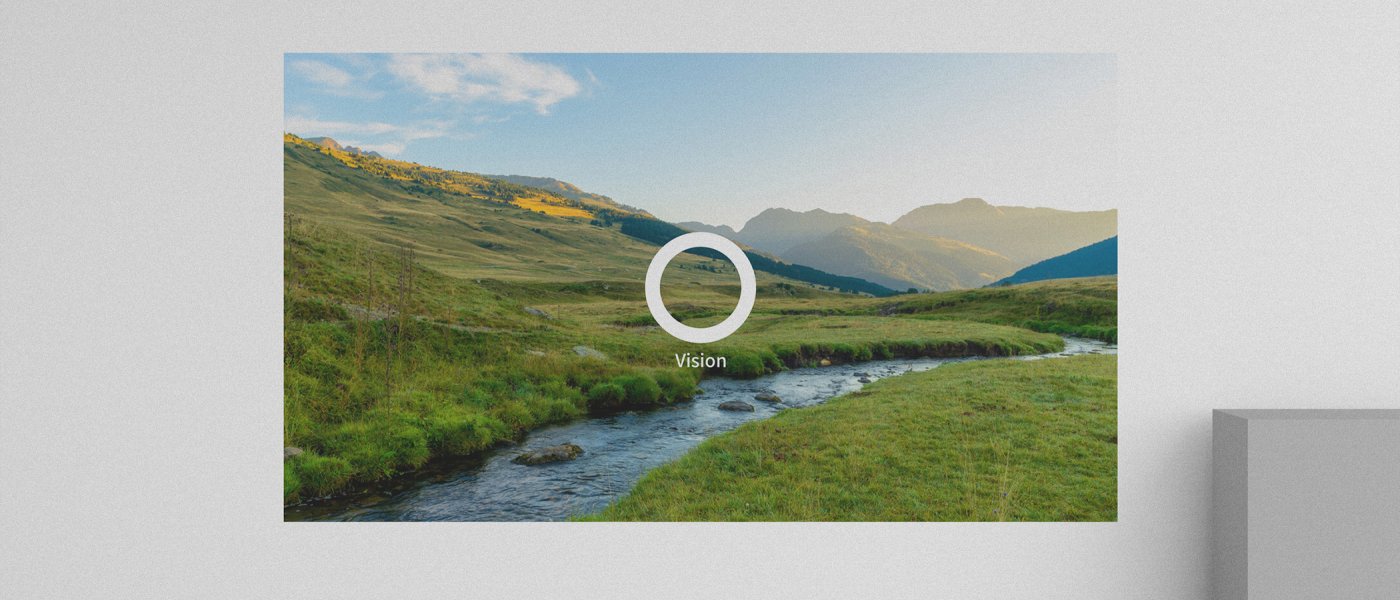 Vision Laurin Büscher